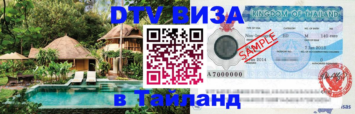 Сколько стоит DTV виза — актуальные цены, оформление даже без документов - 19.11.2025 